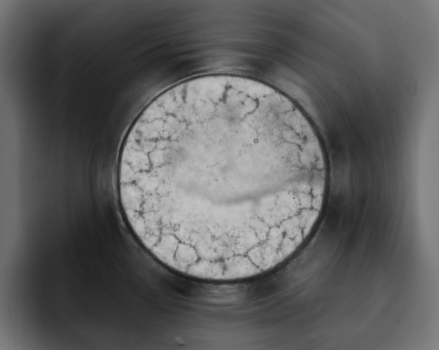 X0000093111338200710031309