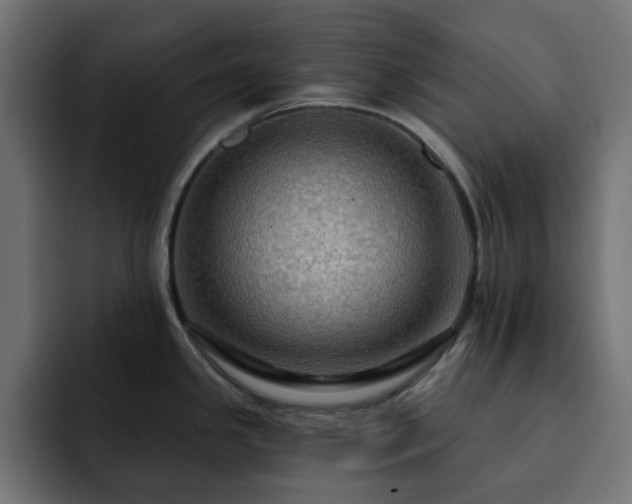 X0000093111341200710031309