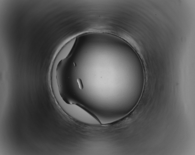 X0000093111344200710031309