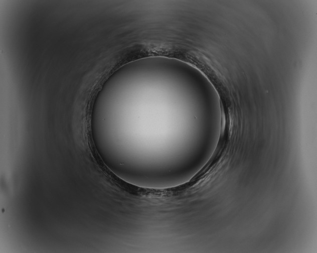 X0000093111345200710031309