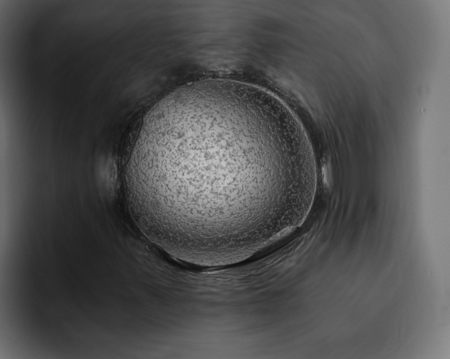 X0000093111347200710031309
