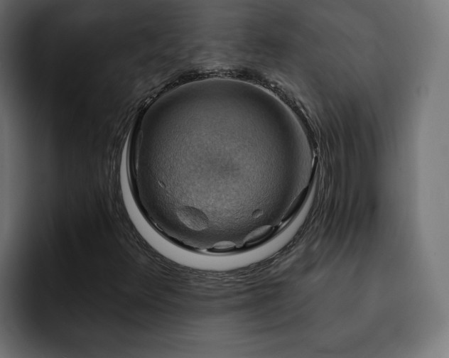 X0000093111348200710031308