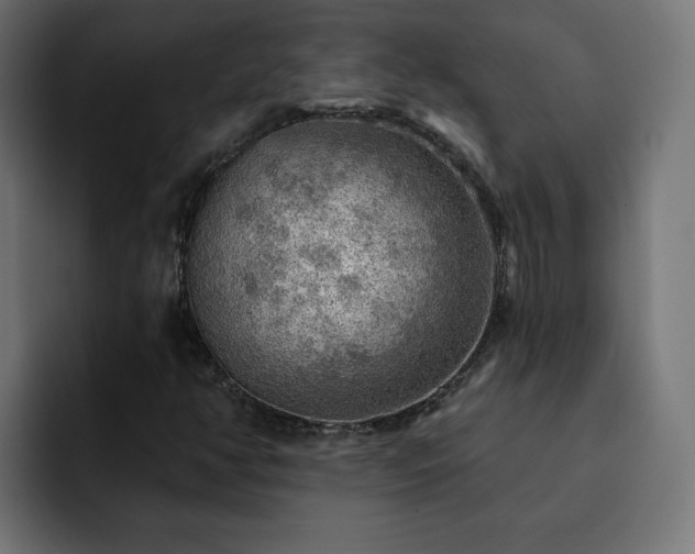 X0000093111350200710031308