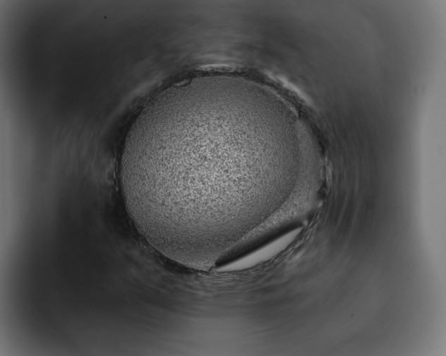 X0000093111351200710031308