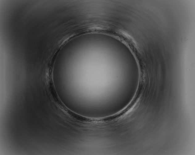 X0000093111353200710031308