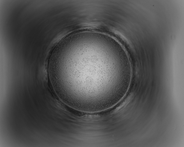 X0000093111354200710031308