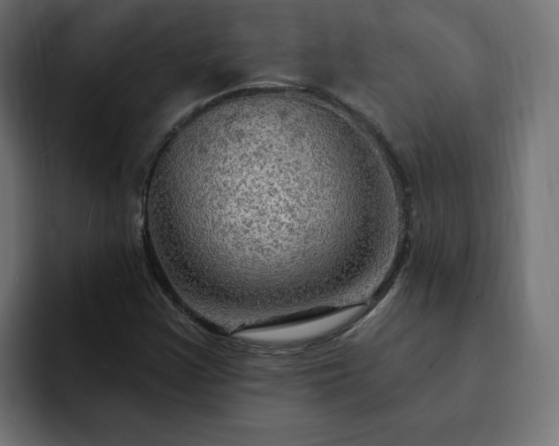 X0000093111355200710031308