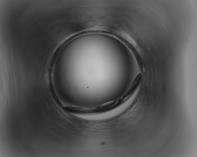X0000093111356200710031308