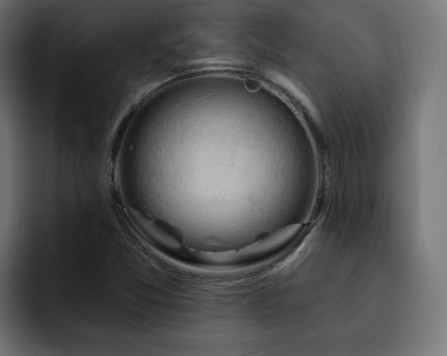 X0000093111357200710031308