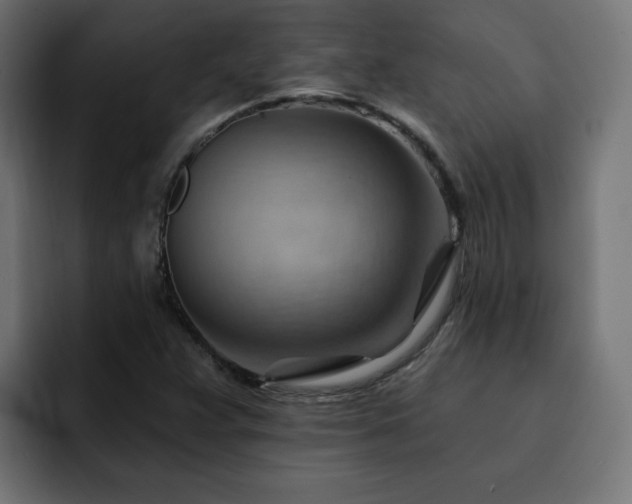 X0000093111359200710031308