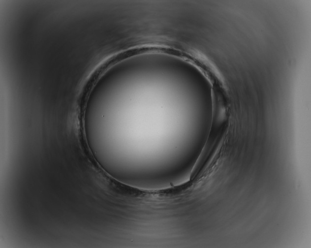 X0000093111360200710031308