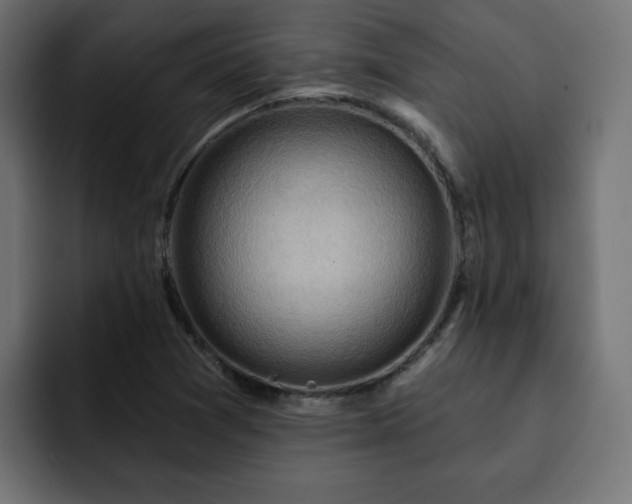 X0000093111361200710031308