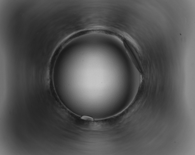 X0000093111364200710031308