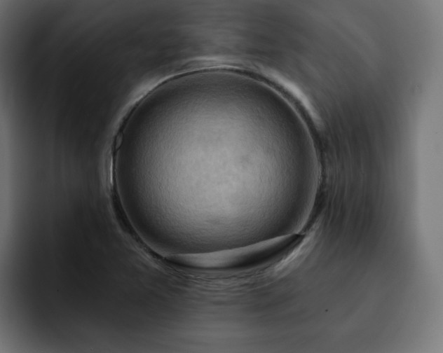 X0000093111365200710031308