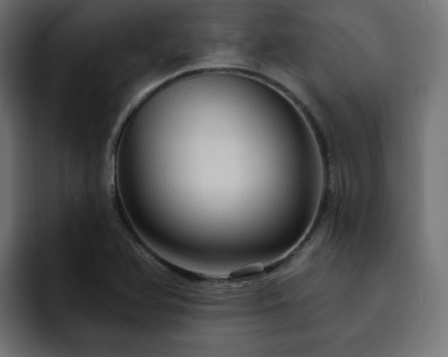 X0000093111366200710031308
