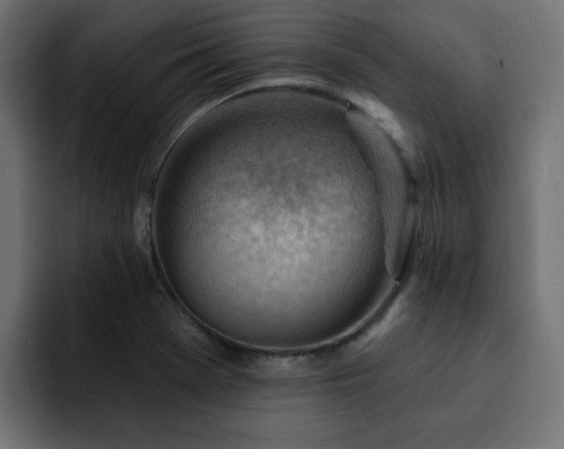 X0000093111369200710031308