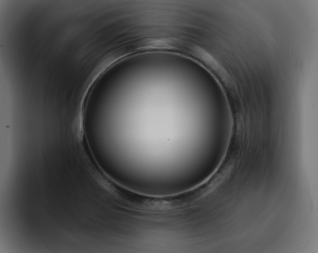 X0000093111370200710031308