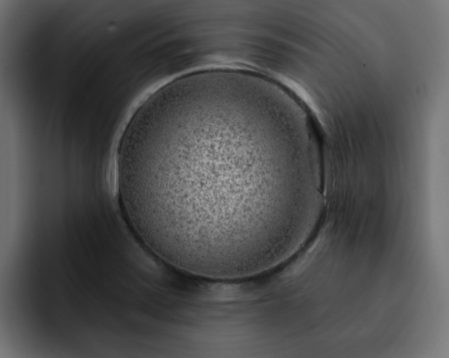 X0000093111371200710031308