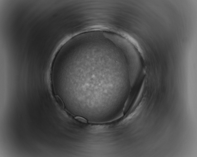 X0000093111373200710031308