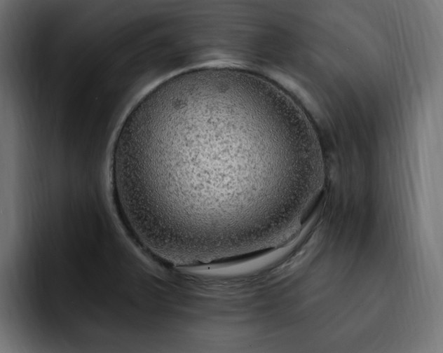 X0000093111375200710031308