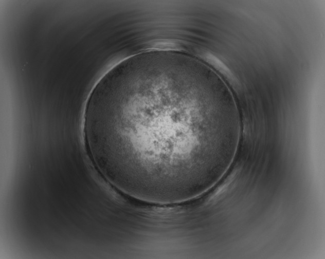 X0000093111378200710031308