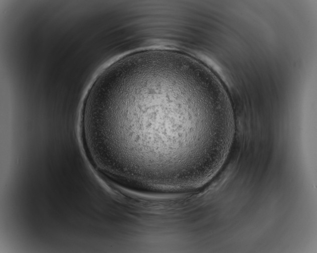 X0000093111379200710031308