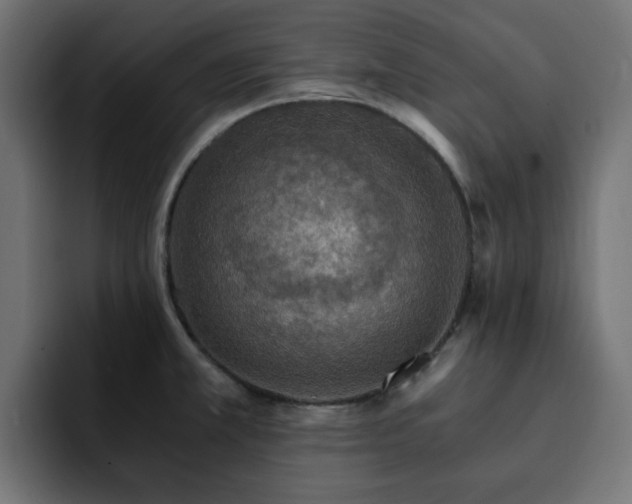 X0000093111381200710031308