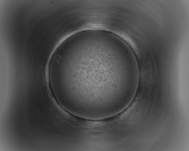 X0000093111382200710031308