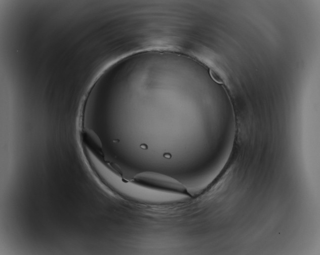 X0000093111383200710031308