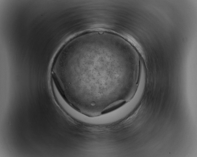 X0000093111384200710031308