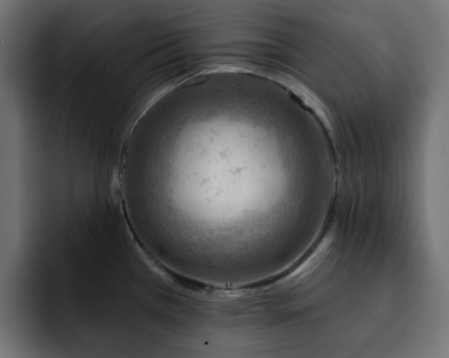 X0000093111385200710031308