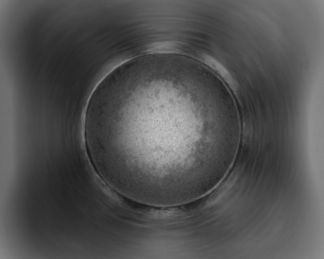 X0000093111386200710031308