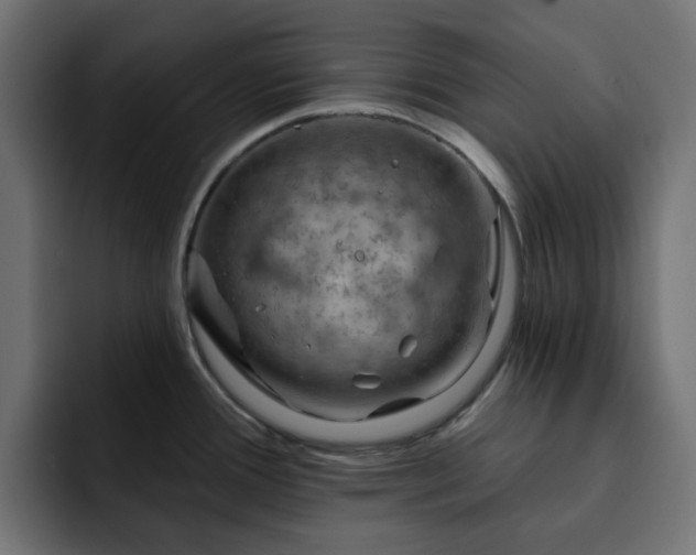 X0000093111388200710031308