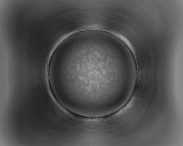 X0000093111389200710031308