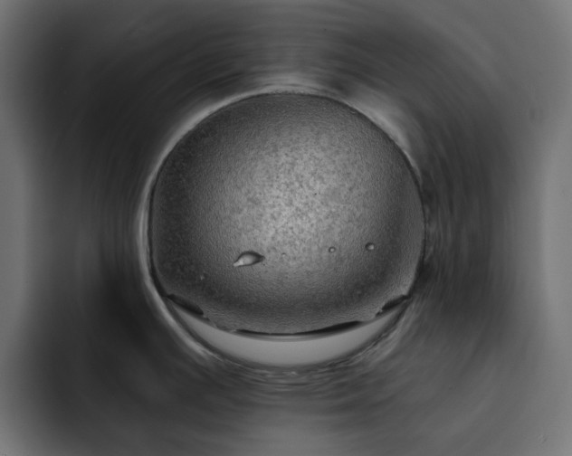 X0000093111391200710031308