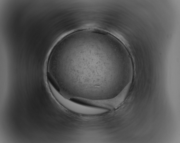 X0000093111392200710031308