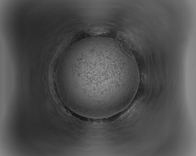 X0000093111393200710031307