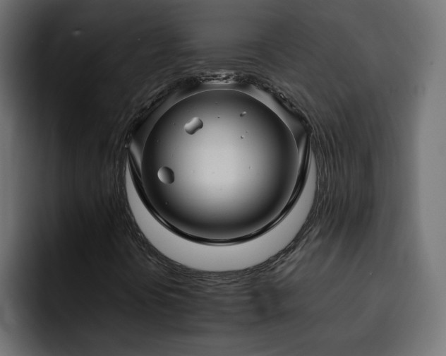 X0000093111394200710031307