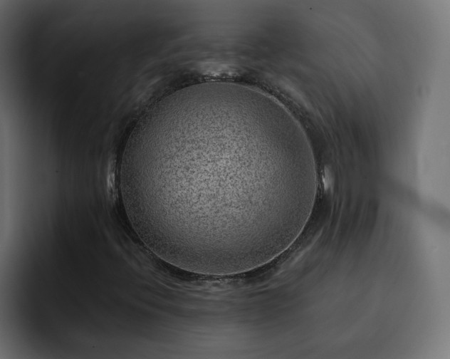 X0000093111396200710031307