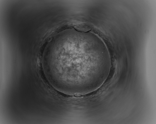 X0000093111397200710031307
