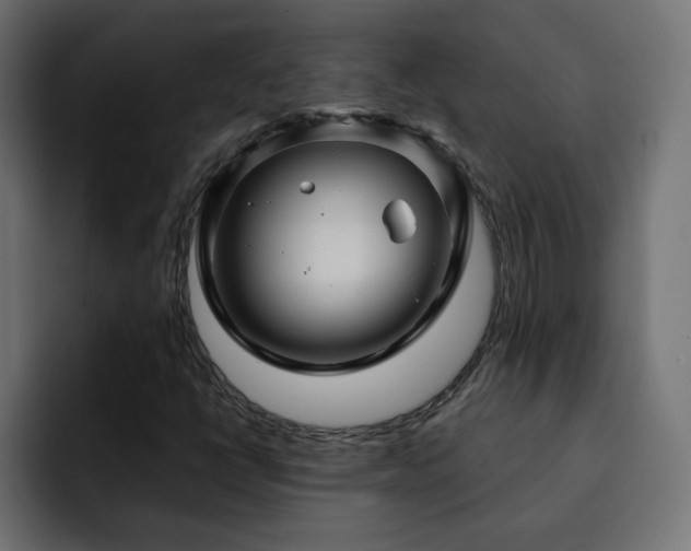 X0000093111398200710031307