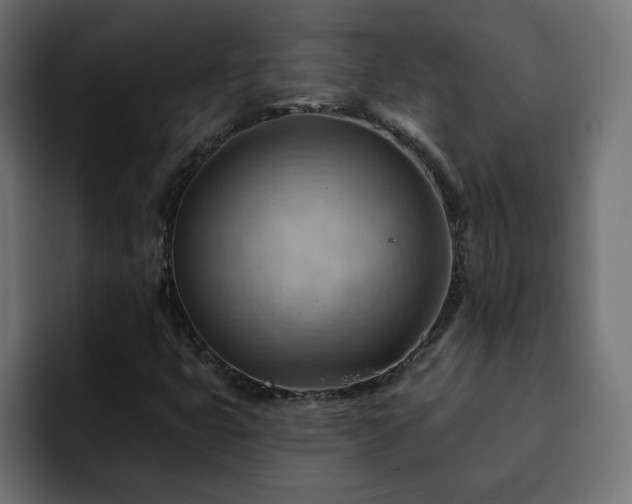 X0000093111399200710031307
