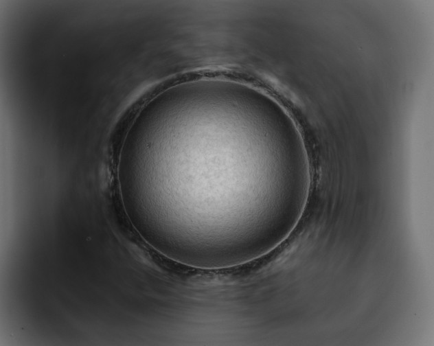 X0000093111400200710031308