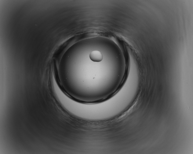 X0000093111402200710031308