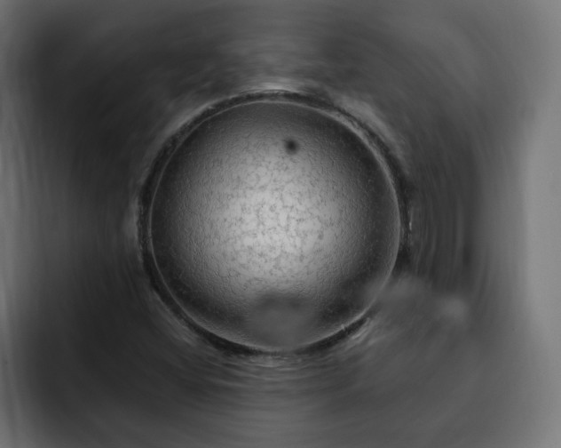 X0000093111404200710031308