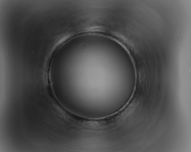 X0000093111405200710031308