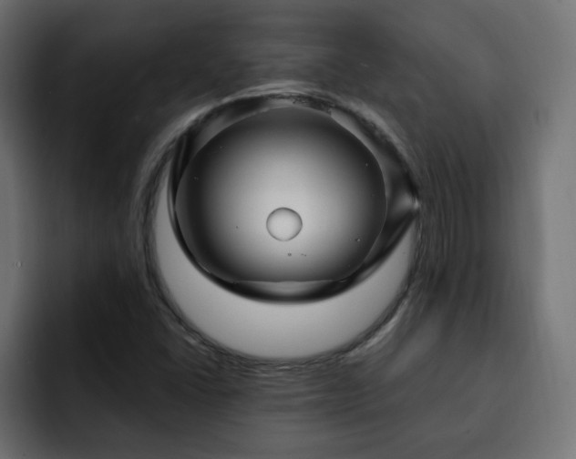 X0000093111406200710031308