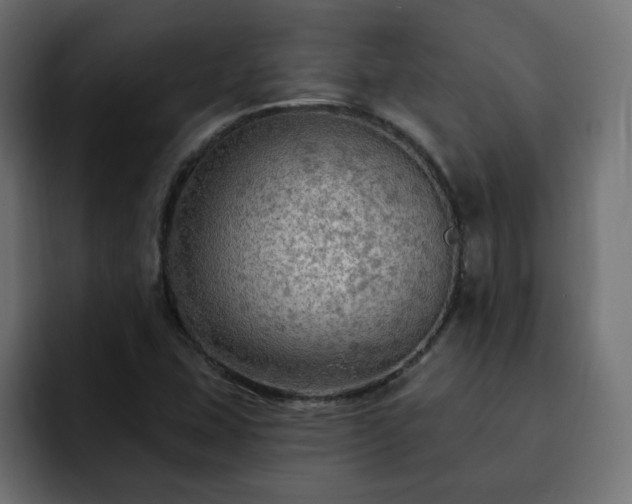 X0000093111407200710031308