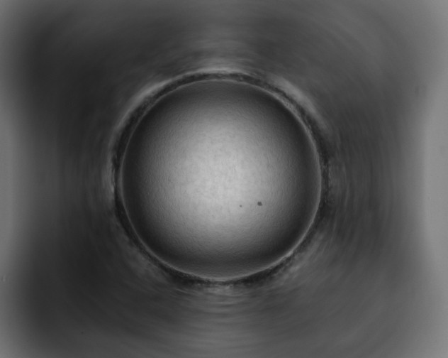 X0000093111408200710031308