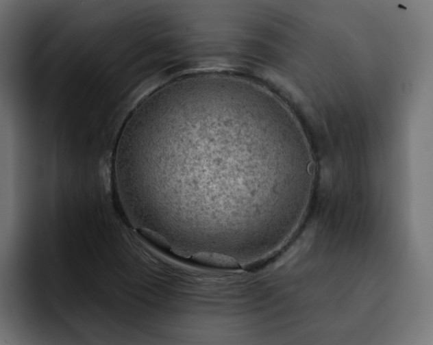 X0000093111409200710031308
